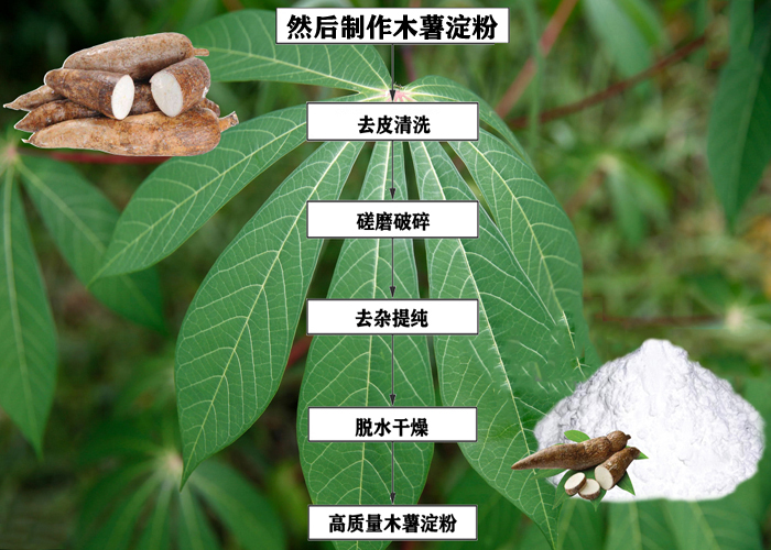 木薯淀粉流程圖