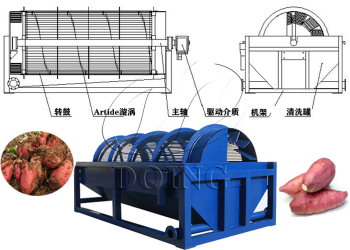 鼠籠式紅薯清洗機(jī)