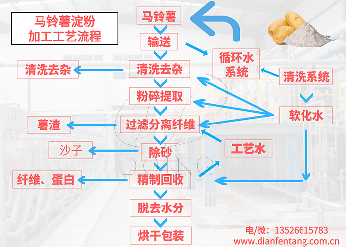 馬鈴薯淀粉加工流程